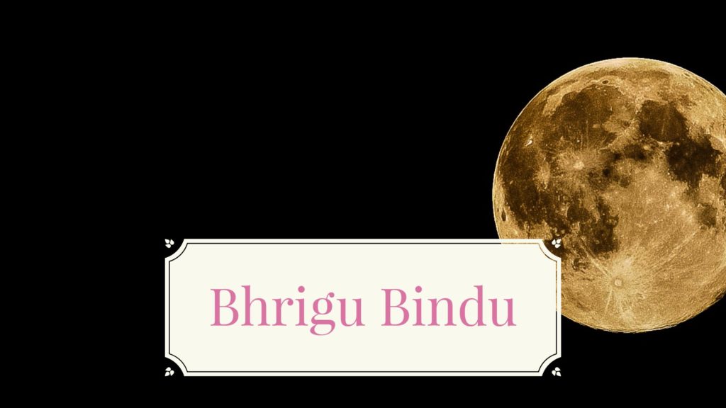 bhrigu samhita kundli milan bhrigu samhita kundli milan